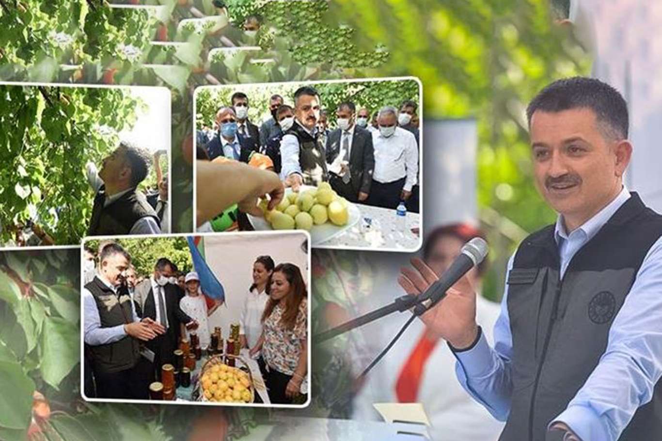 Malatya ve Elâzığ'dan sonra Iğdır'da kayısı üretiminde iddialı Malatya ve Elâzığ'dan sonra Iğdır'da kayısı üretiminde iddialı